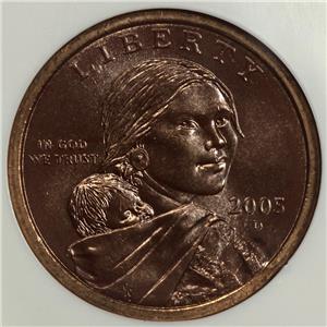 2005 Sacagawea dollar annealing stain error showing copper-brown discoloration on the manganese-brass surface